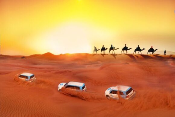 Best Desert safari Dubai